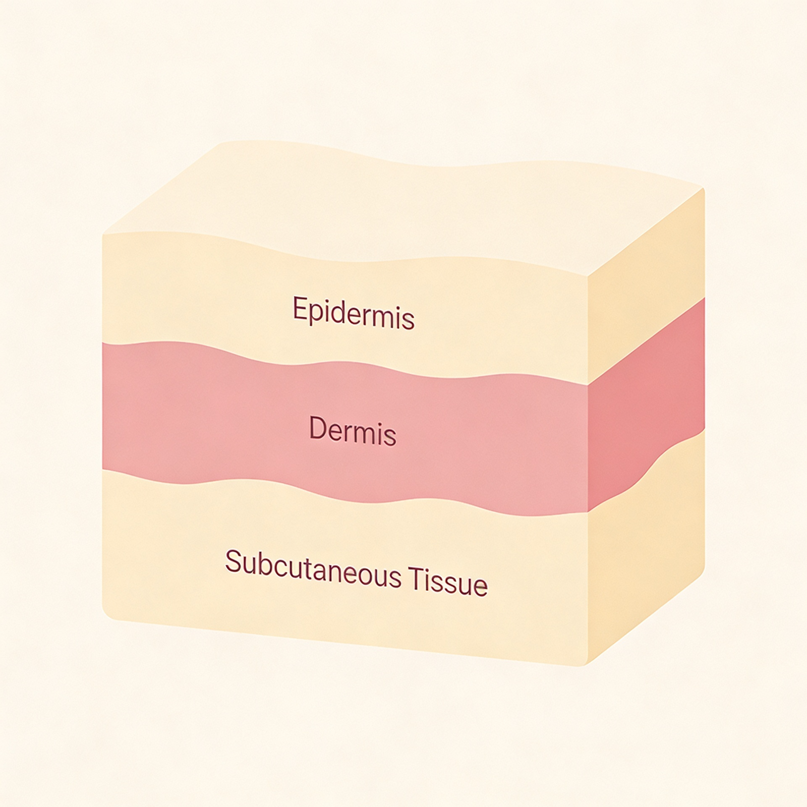 What Actually Causes